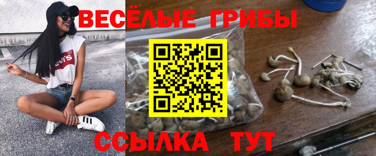 Псилоцибиновые грибы мухоморы  Вход с VPN  Лабинск 